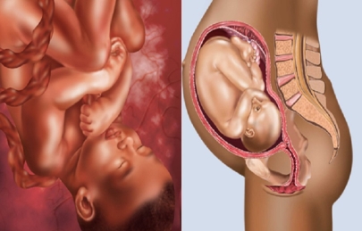 Bạn đã biết cách chăm sóc bà bầu tháng thứ 8?