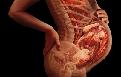 Nên chăm sóc mẹ bầu ở tháng thứ 7 như thế nào ?