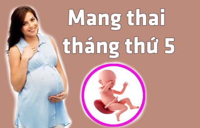 Kinh nghiệm chăm sóc bà bầu tháng thứ 5 và những điều cần biết